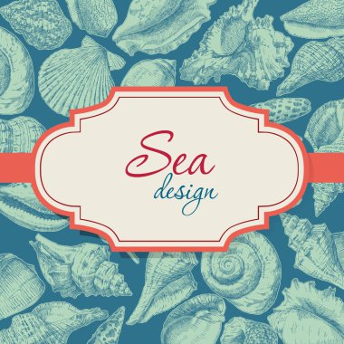 deniz kabuklarını çerçeve