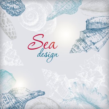 deniz kabuklarını çerçeve