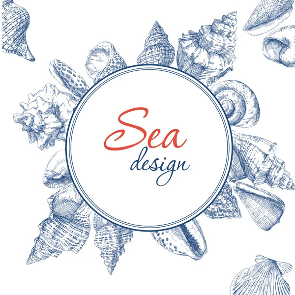 deniz kabuklarını çerçeve