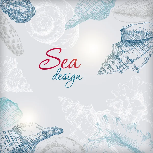 deniz kabuklarını çerçeve