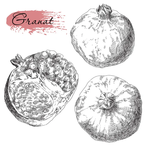 Elle çizilmiş nar kümesi