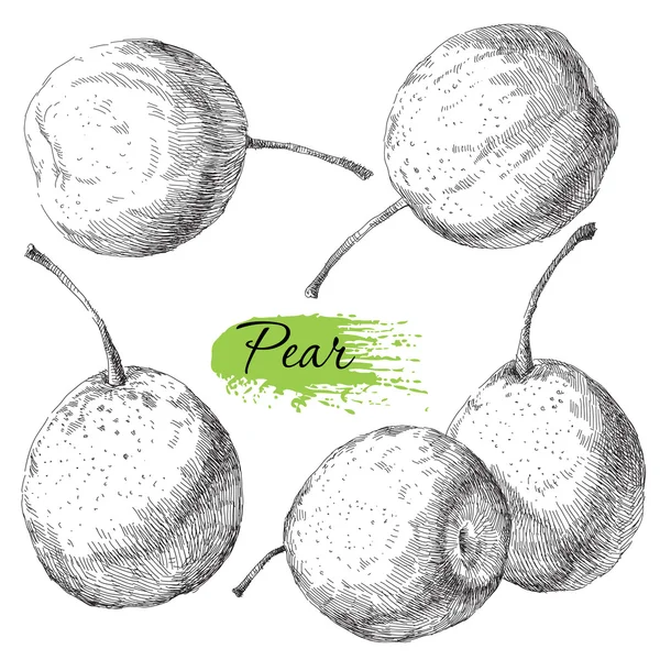 Vector set voor hand getrokken pear — Stockvector
