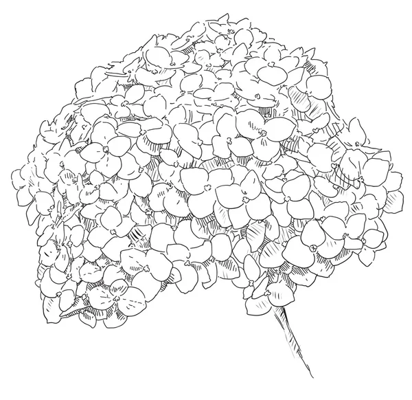 Güzellik el çekilmiş çiçek