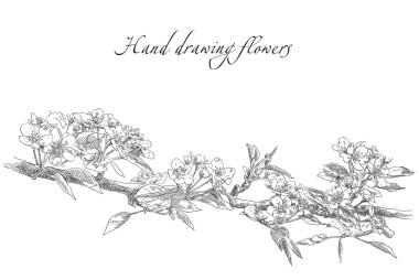 Güzellik el çekilmiş çiçek