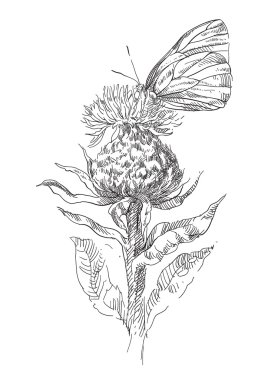 Güzellik el çekilmiş çiçek