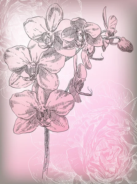 Beauté dessiné à la main fleurs orhid — Image vectorielle