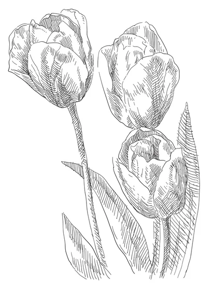 Krása ručně tažené květiny — Stockový vektor