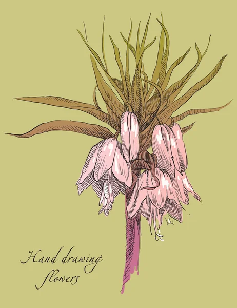 Bellezza mano disegnato fiori — Vettoriale Stock