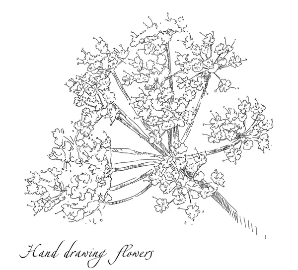 El çizim çiçek vektör çerçeve