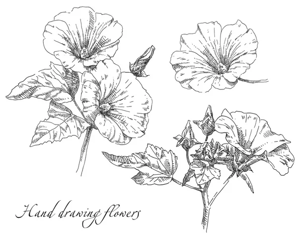 El çizim çiçek vektör çerçeve