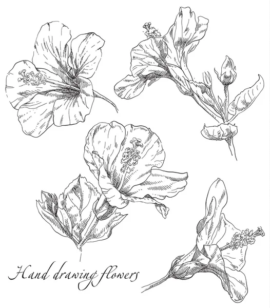 Χέρι κάρτα σχέδιο λουλούδι φορέα πλαίσια — Διανυσματικό Αρχείο
