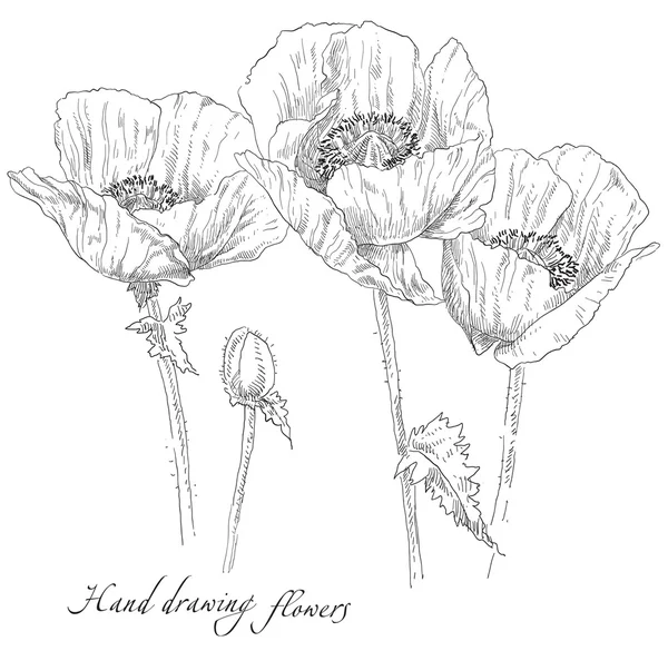 Strony rysunku karta kwiat wektor ramki — Wektor stockowy