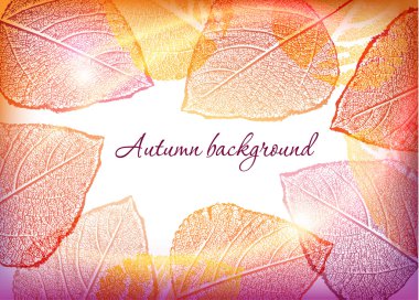 El çizim çiçek vektör çerçeve