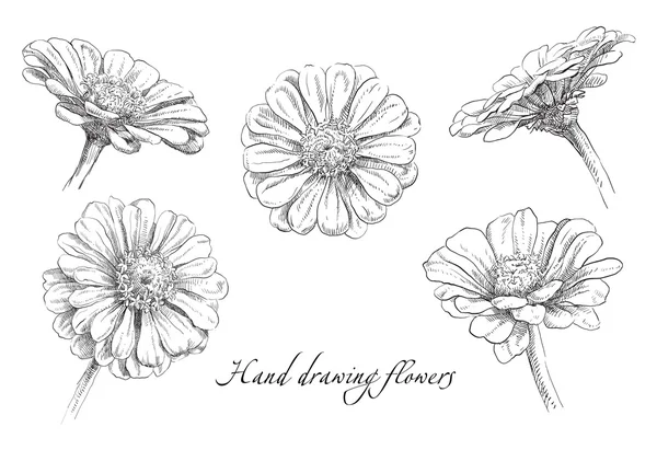 El çizim çiçek vektör çerçeve