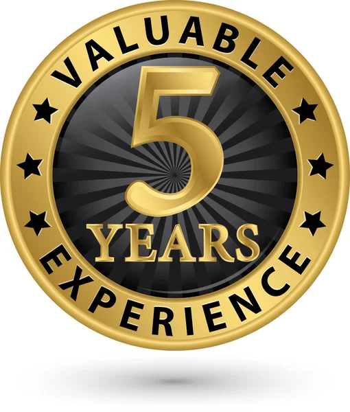 5 years valuable experience gold label, vector illustration — Stock Vector