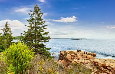Güneşli bir günde kayalık kıyıları ve küçük adaları olan Bar Harbor 'un panoramik manzarası