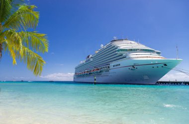 Gezici gemi güneşli bir günde tropikal limana yanaştı.