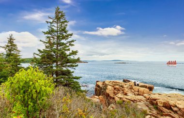 Güneşli bir günde Bar Harbor 'un kayalık kıyı manzarası ve yelkenli teknesi.