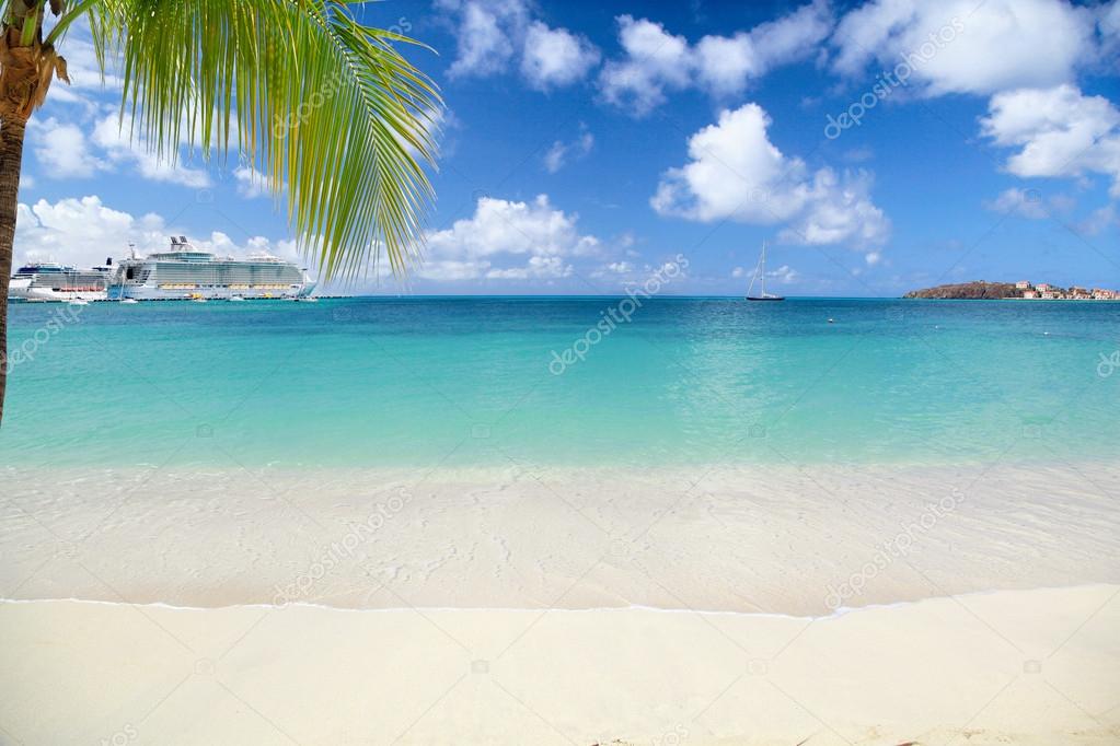 Beach with Palm Tree