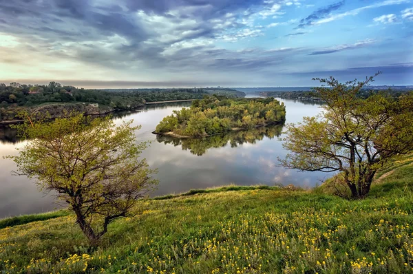 Reflejo de los árboles en el río al amanecer — Foto de Stock