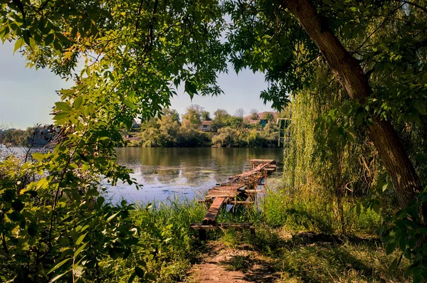 Літній пейзаж з озером — стокове фото