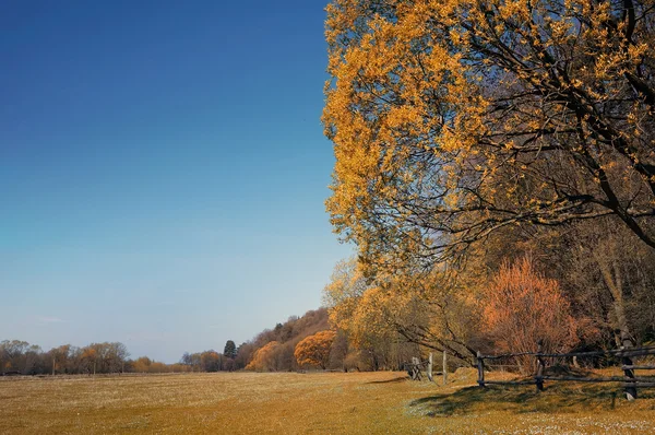 秋の風景と青空 — ストック写真