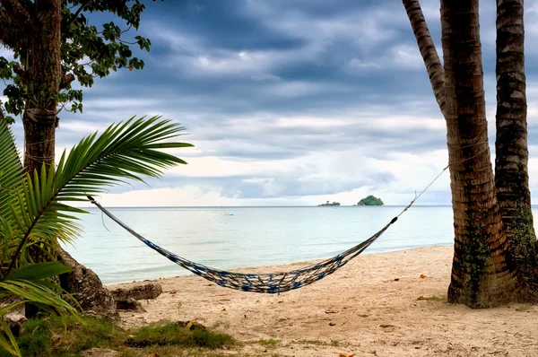 Tomma hängmattor mellan palmer på tropisk strand — Stockfoto