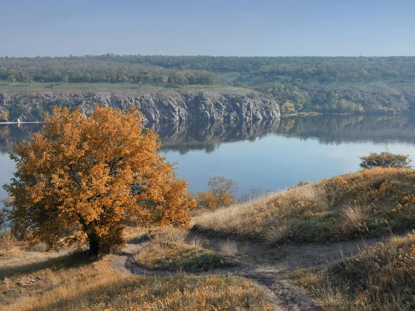 Insel Herbstlichen Wald Mit Reflexion Dniper Ukraine — Stockfoto