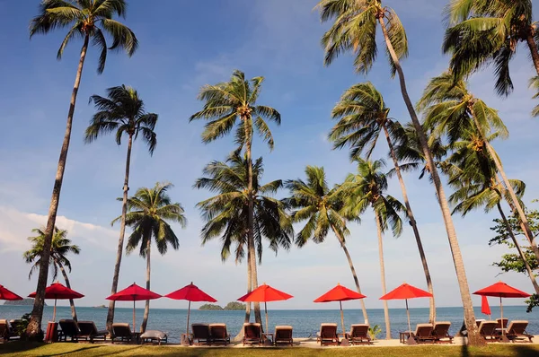 热带海滩 有棕榈树和红色雨伞 — 图库照片