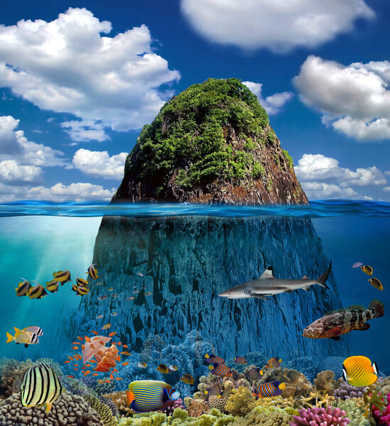 Split view with sky and beautiful Tropical Island coral and fish underwater Koh Chang Thailand