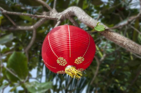 Decoração do ano novo chinês — Fotografia de Stock