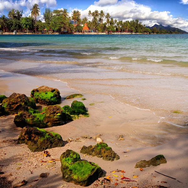 Tropical beach with turquoise water — Stock Photo, Image