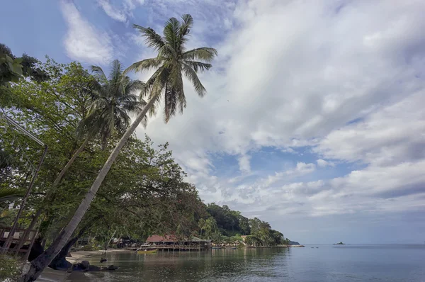 Playa tropical con palmeras — Foto de Stock