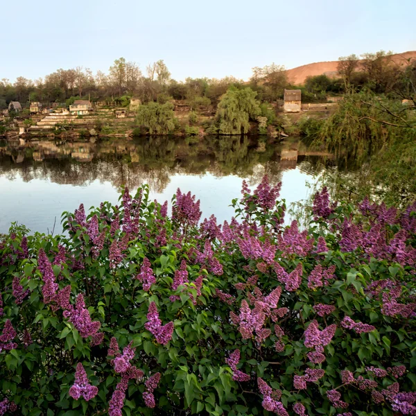 The first spring greens — Stock Photo, Image