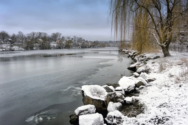 Frozen river and trees in winter season — Stock Photo, Image