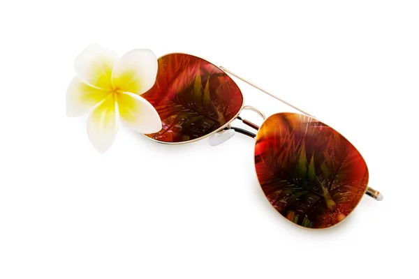 Сонцезахисні окуляри з відбиттям пальми — стокове фото