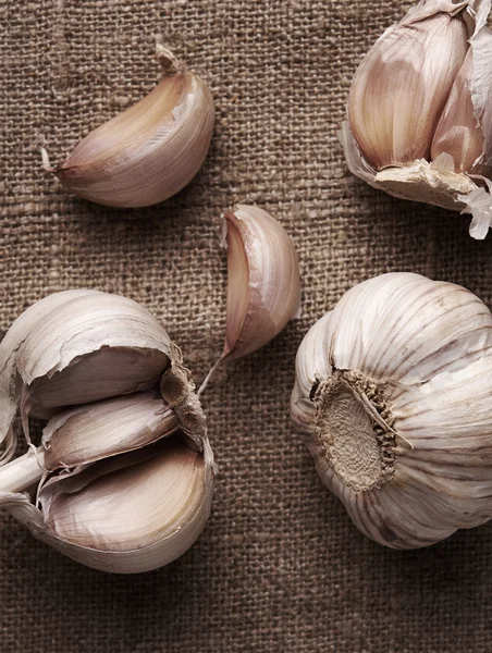garlic clove and garlic bulb