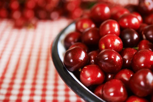 Cherry manis — Stok Foto