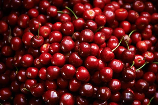 Latar belakang cherry merah — Stok Foto