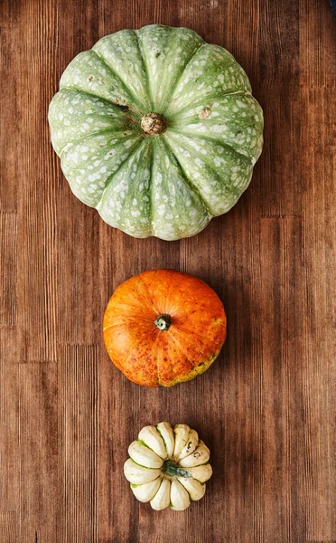 pumkins.top görünüm