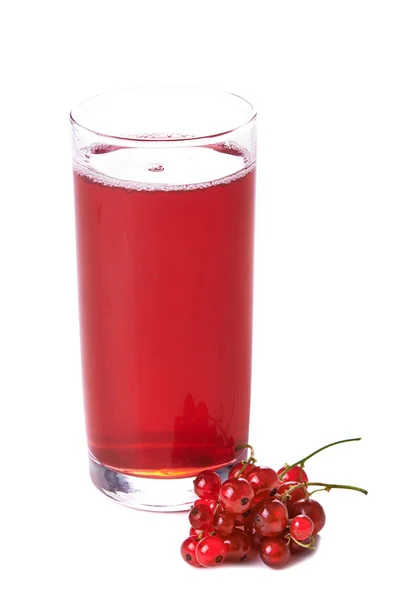 Red currant minum — Stok Foto