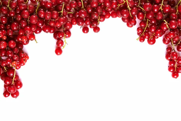 Fresh red currant — Stock Photo, Image