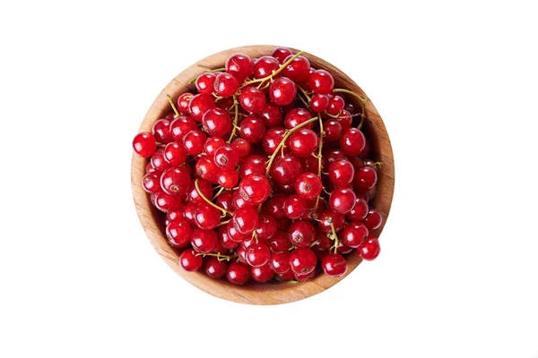 Currant merah segar — Stok Foto