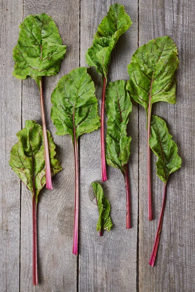 Beetroot leaves — Stockfoto