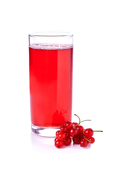 Red currant minum — Stok Foto