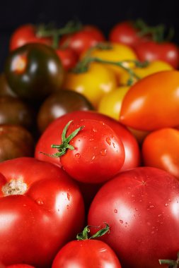 farklı türlü domates