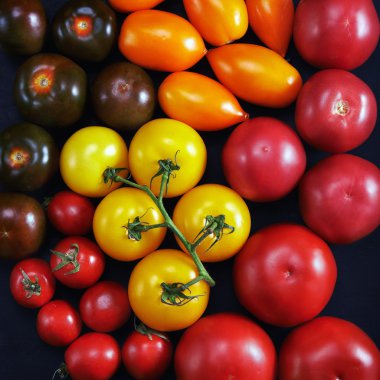 renkli bütün domates