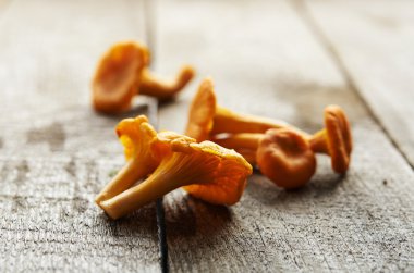 ham taze canterelles