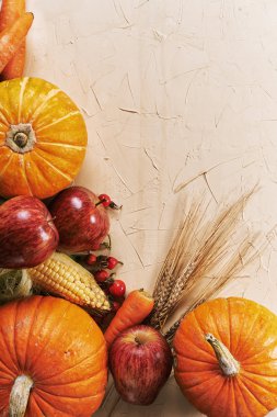 bej renkli arka plan üzerinde sebze