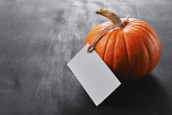 Calabaza y tarjeta vacía . — Foto de Stock